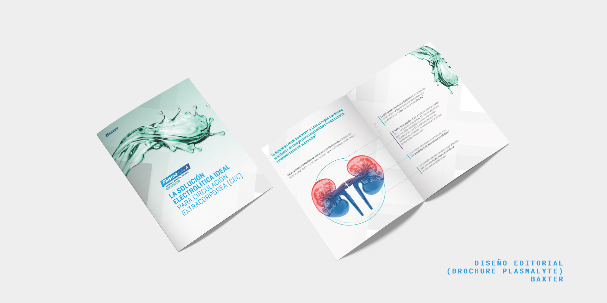 Baxter Diseño Editorial Brochure